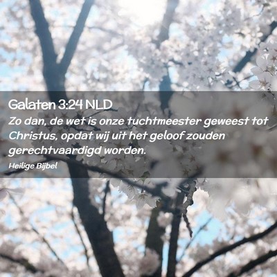 Picture 02 - Galaten 3:24 NLD - Zo dan, de wet is onze tuchtmeester geweest tot - Bible Verse Picture