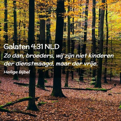 Picture 02 - Galaten 4:31 NLD - Zo dan, broeders, wij zijn niet kinderen der - Bible Verse Picture