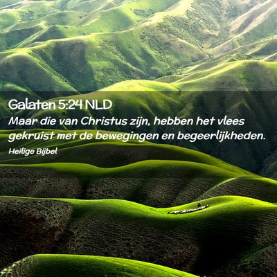 Picture 02 - Galaten 5:24 NLD - Maar die van Christus zijn, hebben het vlees - Bible Verse Picture