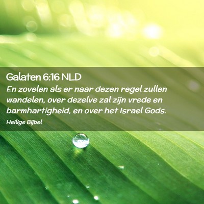Picture 02 - Galaten 6:16 NLD - En zovelen als er naar dezen regel zullen - Bible Verse Picture