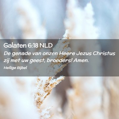 Picture 02 - Galaten 6:18 NLD - De genade van onzen Heere Jezus Christus zij met - Bible Verse Picture