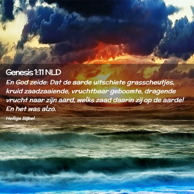 Picture 02 - Genesis 1:11 NLD - En God zeide: Dat de aarde uitschiete - Bible Verse Picture