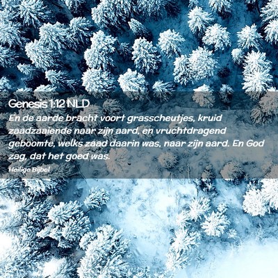 Picture 02 - Genesis 1:12 NLD - En de aarde bracht voort grasscheutjes, kruid - Bible Verse Picture