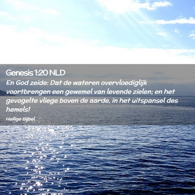 Picture 02 - Genesis 1:20 NLD - En God zeide: Dat de wateren overvloediglijk - Bible Verse Picture
