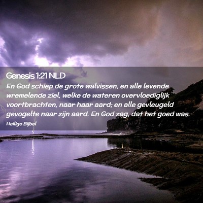 Picture 02 - Genesis 1:21 NLD - En God schiep de grote walvissen, en alle levende - Bible Verse Picture
