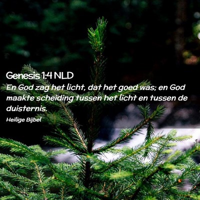 Picture 02 - Genesis 1:4 NLD - En God zag het licht, dat het goed was; en God - Bible Verse Picture