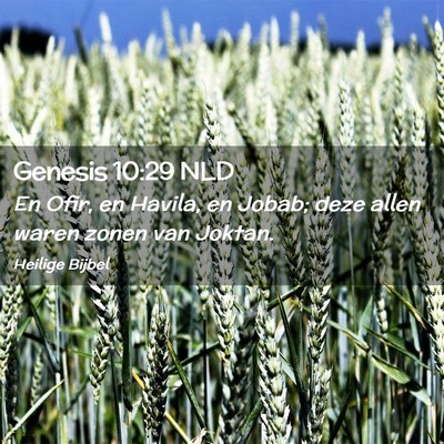 Picture 02 - Genesis 10:29 NLD - En Ofir, en Havila, en Jobab; deze allen waren - Bible Verse Picture