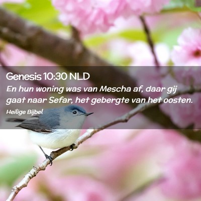 Picture 02 - Genesis 10:30 NLD - En hun woning was van Mescha af, daar gij gaat - Bible Verse Picture