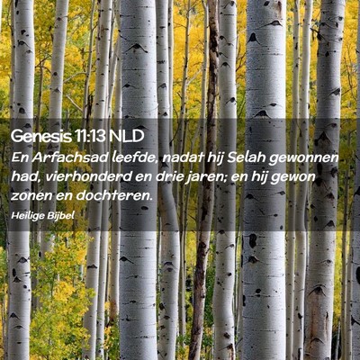 Picture 02 - Genesis 11:13 NLD - En Arfachsad leefde, nadat hij Selah gewonnen - Bible Verse Picture