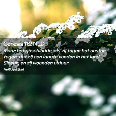 Picture 02 - Genesis 11:2 NLD - Maar het geschiedde, als zij tegen het oosten - Bible Verse Picture