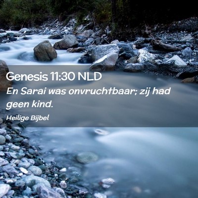 Picture 02 - Genesis 11:30 NLD - En Sarai was onvruchtbaar; zij had geen - Bible Verse Picture