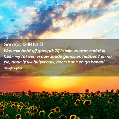 Picture 02 - Genesis 12:19 NLD - Waarom hebt gij gezegd: Zij is mijn zuster; zodat - Bible Verse Picture
