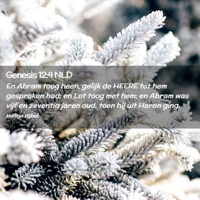Picture 02 - Genesis 12:4 NLD - En Abram toog heen, gelijk de HEERE tot hem - Bible Verse Picture