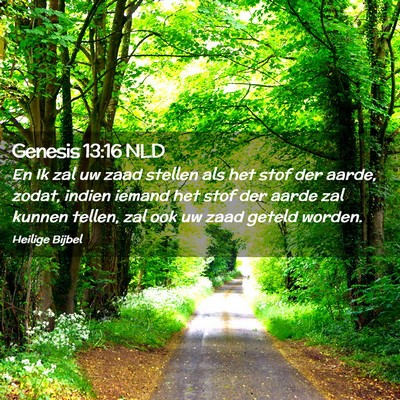 Picture 02 - Genesis 13:16 NLD - En Ik zal uw zaad stellen als het stof der aarde, - Bible Verse Picture