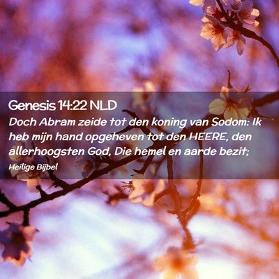 Picture 02 - Genesis 14:22 NLD - Doch Abram zeide tot den koning van Sodom: Ik heb - Bible Verse Picture