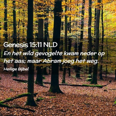 Picture 02 - Genesis 15:11 NLD - En het wild gevogelte kwam neder op het aas; maar - Bible Verse Picture