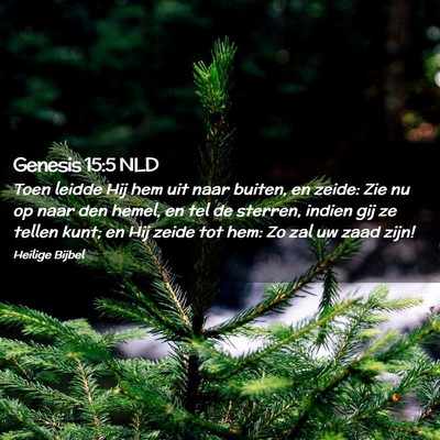 Picture 02 - Genesis 15:5 NLD - Toen leidde Hij hem uit naar buiten, en zeide: - Bible Verse Picture