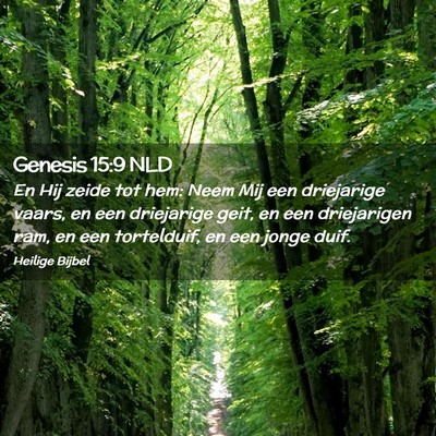 Picture 02 - Genesis 15:9 NLD - En Hij zeide tot hem: Neem Mij een driejarige - Bible Verse Picture