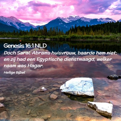 Picture 02 - Genesis 16:1 NLD - Doch Sarai, Abrams huisvrouw, baarde hem niet; en - Bible Verse Picture