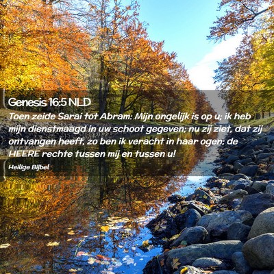 Picture 02 - Genesis 16:5 NLD - Toen zeide Sarai tot Abram: Mijn ongelijk is op - Bible Verse Picture
