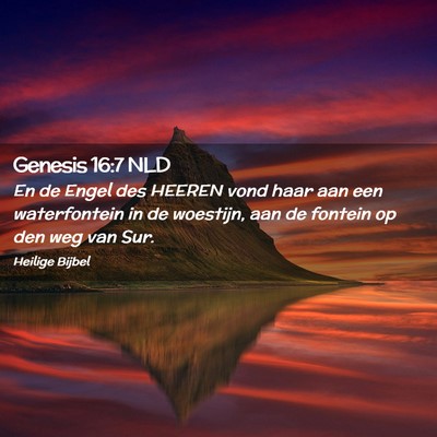 Picture 02 - Genesis 16:7 NLD - En de Engel des HEEREN vond haar aan een - Bible Verse Picture