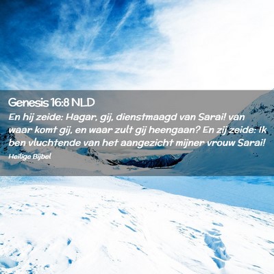 Picture 02 - Genesis 16:8 NLD - En hij zeide: Hagar, gij, dienstmaagd van Sarai! - Bible Verse Picture