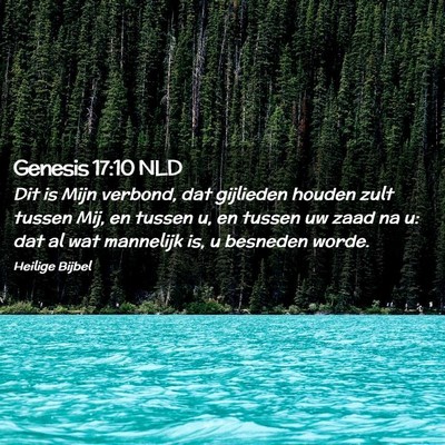 Picture 02 - Genesis 17:10 NLD - Dit is Mijn verbond, dat gijlieden houden zult - Bible Verse Picture