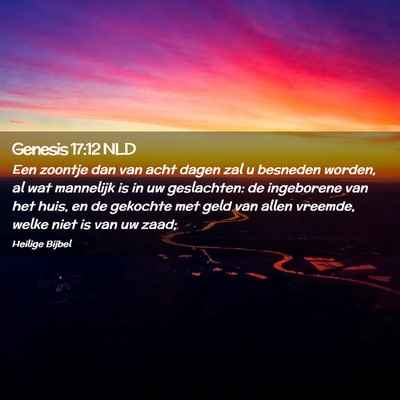 Picture 02 - Genesis 17:12 NLD - Een zoontje dan van acht dagen zal u besneden - Bible Verse Picture
