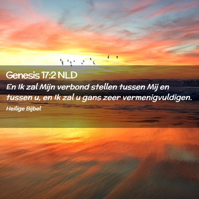 Picture 02 - Genesis 17:2 NLD - En Ik zal Mijn verbond stellen tussen Mij en - Bible Verse Picture