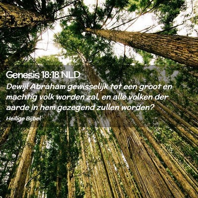 Picture 02 - Genesis 18:18 NLD - Dewijl Abraham gewisselijk tot een groot en - Bible Verse Picture