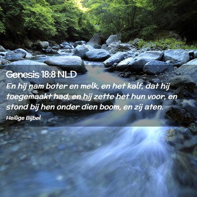 Picture 02 - Genesis 18:8 NLD - En hij nam boter en melk, en het kalf, dat hij - Bible Verse Picture