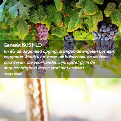 Picture 02 - Genesis 19:15 NLD - En als de dageraad opging, drongen de engelen Lot - Bible Verse Picture