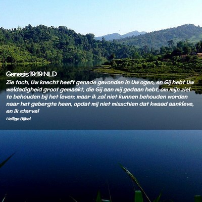 Picture 02 - Genesis 19:19 NLD - Zie toch, Uw knecht heeft genade gevonden in Uw - Bible Verse Picture
