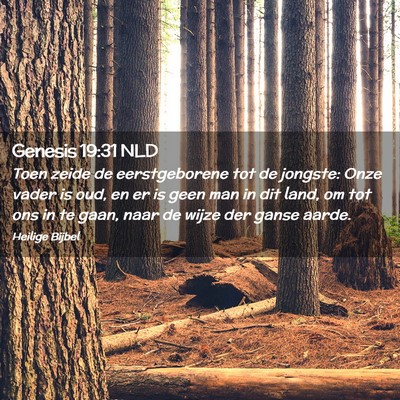Picture 02 - Genesis 19:31 NLD - Toen zeide de eerstgeborene tot de jongste: Onze - Bible Verse Picture