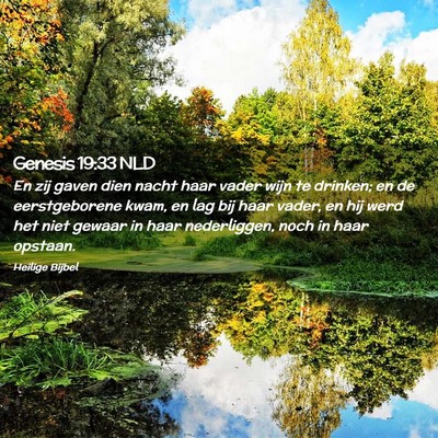 Picture 02 - Genesis 19:33 NLD - En zij gaven dien nacht haar vader wijn te - Bible Verse Picture