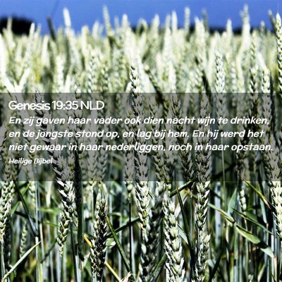 Picture 02 - Genesis 19:35 NLD - En zij gaven haar vader ook dien nacht wijn te - Bible Verse Picture