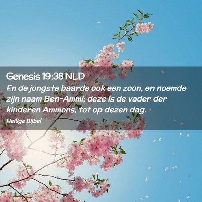 Picture 02 - Genesis 19:38 NLD - En de jongste baarde ook een zoon, en noemde zijn - Bible Verse Picture