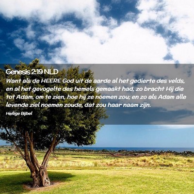 Picture 02 - Genesis 2:19 NLD - Want als de HEERE God uit de aarde al het - Bible Verse Picture