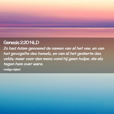 Picture 02 - Genesis 2:20 NLD - Zo had Adam genoemd de namen van al het vee, en - Bible Verse Picture