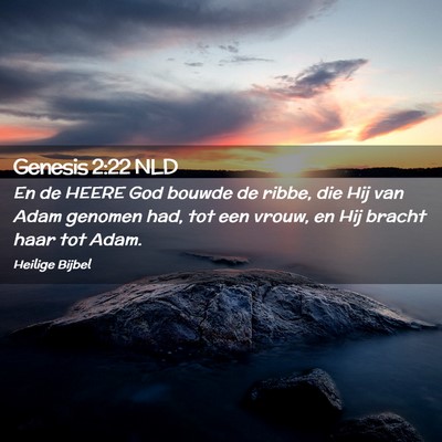 Picture 02 - Genesis 2:22 NLD - En de HEERE God bouwde de ribbe, die Hij van Adam - Bible Verse Picture