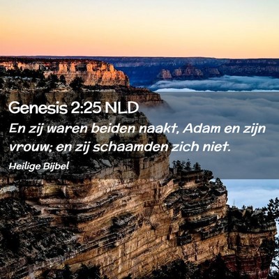 Picture 02 - Genesis 2:25 NLD - En zij waren beiden naakt, Adam en zijn vrouw; en - Bible Verse Picture