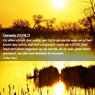 Picture 02 - Genesis 2:5 NLD - En allen struik des velds, eer hij in de aarde - Bible Verse Picture