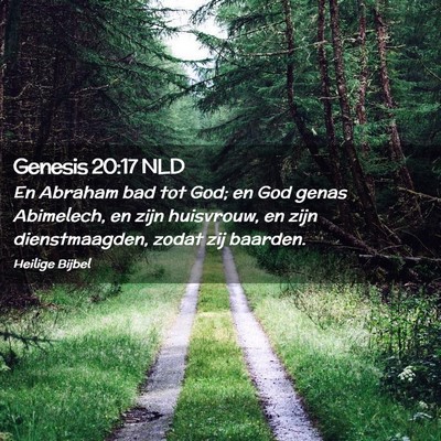 Picture 02 - Genesis 20:17 NLD - En Abraham bad tot God; en God genas Abimelech, - Bible Verse Picture