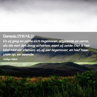 Picture 02 - Genesis 21:16 NLD - En zij ging en zette zich tegenover, afgaande zo - Bible Verse Picture
