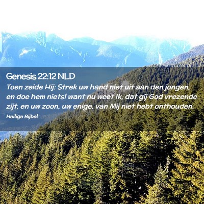 Picture 02 - Genesis 22:12 NLD - Toen zeide Hij: Strek uw hand niet uit aan den - Bible Verse Picture