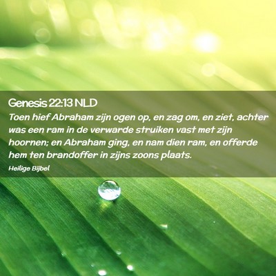 Picture 02 - Genesis 22:13 NLD - Toen hief Abraham zijn ogen op, en zag om, en - Bible Verse Picture