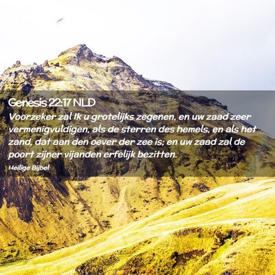 Picture 02 - Genesis 22:17 NLD - Voorzeker zal Ik u grotelijks zegenen, en uw zaad - Bible Verse Picture