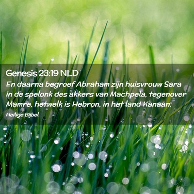 Picture 02 - Genesis 23:19 NLD - En daarna begroef Abraham zijn huisvrouw Sara in - Bible Verse Picture