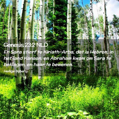 Picture 02 - Genesis 23:2 NLD - En Sara stierf te Kiriath-Arba, dat is Hebron, in - Bible Verse Picture