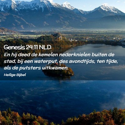 Picture 02 - Genesis 24:11 NLD - En hij deed de kemelen nederknielen buiten de - Bible Verse Picture